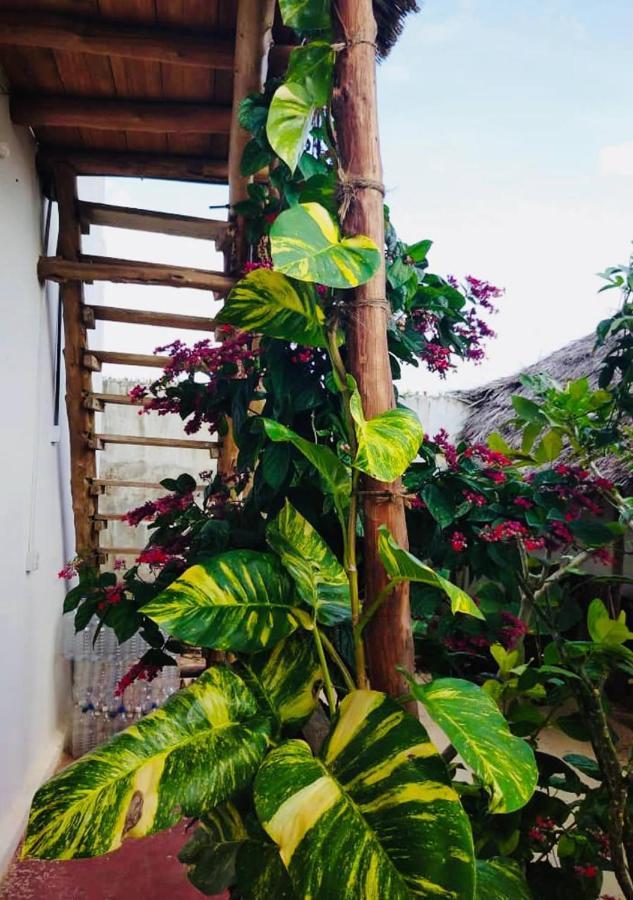 Bed and Breakfast Kilimani House Nungwi Exteriér fotografie