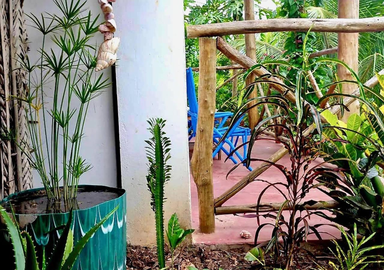 Bed and Breakfast Kilimani House Nungwi Exteriér fotografie