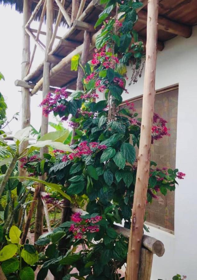 Bed and Breakfast Kilimani House Nungwi Exteriér fotografie