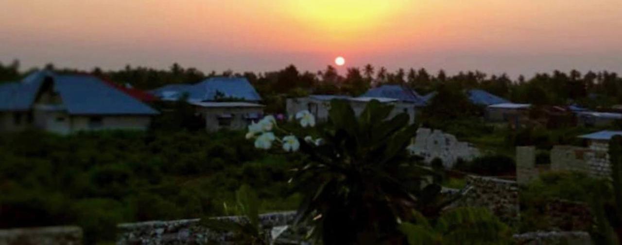 Bed and Breakfast Kilimani House Nungwi Exteriér fotografie