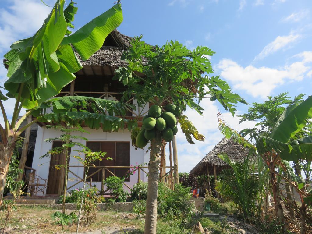 Bed and Breakfast Kilimani House Nungwi Exteriér fotografie